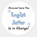 Search for english setter stickers Laverack