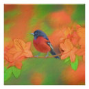 Search for oriole posters Orange