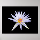 Search for isolate art Background