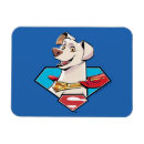 Search for superman rectangular magnets Dc league of superpets