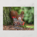 Search for funny squirrel postcards Nuts