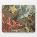 Search for algae mousepads Seaweed