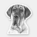 Search for great dane labels black