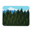 Search for conifer magnets White