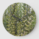 Search for and prickles art Succulent