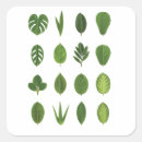 Search for tree planting stickers Forest