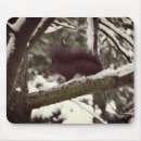 Search for squirrel mousepads Photography