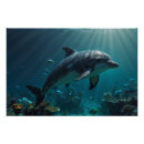Search for blue dolphins posters Marine mammals