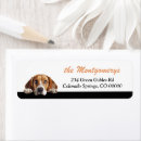 Search for beagle return address labels Pet