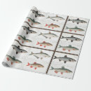 Search for bass fish wrapping paper Nature