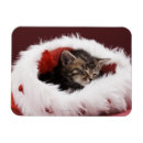 Search for asleep photography Cute