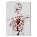 Search for circulatory Medicine