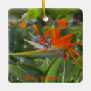 Search for paradise christmas tree decorations flower