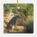 Search for lioness christmas tree decorations Wildlife