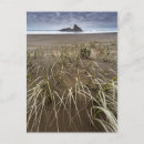 Search for west coast postcards Ocean