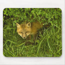Search for red head mousepads Outdoors