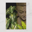 Search for garden statue postcards Buddha