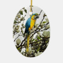 Search for macaw christmas tree decorations Parrot
