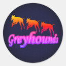 Search for greyhound greyhounds stickers Animal