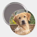 Search for memory image magnets Make it diy yourself