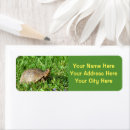 Search for box return address labels Nature