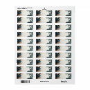 Search for red and blue return address labels Gold