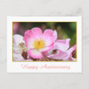 Search for happy anniversary postcards Flower