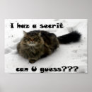 Search for maine coon cat art Pet