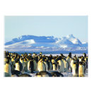 Search for vintage dog art posters Picture