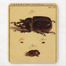 Search for entomology mousepads Nature