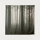 Search for trees in fog art Autumn