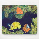Search for aquarium fish mousepads Watercolor