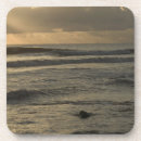 Search for savanah Landscape