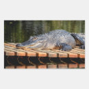 Search for amphibians stickers Wildlife