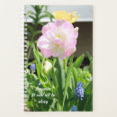 Search for nature office supplies Motivation