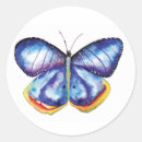 Search for mariposa stickers Butterfly