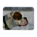 Search for pam cards Boxer