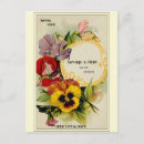 Search for flower seeds postcards Retro