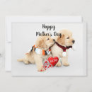 Search for golden retriever mothers day cards Happy mother's day