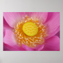 Search for joanne art Flower