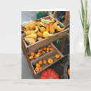 Search for squash cards Harvest
