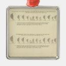 Search for statistics christmas tree decorations Statistical