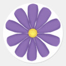Search for puple Birthday