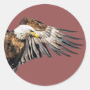 Search for eagle feather stickers Wing