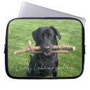Search for lab photo cases Dog