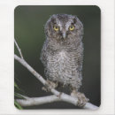Search for otus asio United states