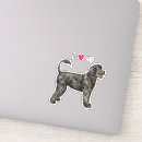Search for portuguese stickers Portie