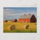 Search for hay barn postcards Farm