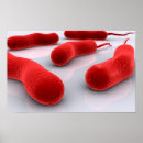 Search for microbe posters Germ
