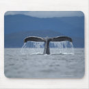 Search for humpback mousepads Outdoors